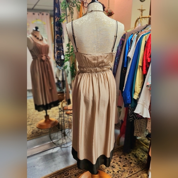 Beautiful Champagne Silk Banana Republic Dress size 10 - Picture 2 of 8